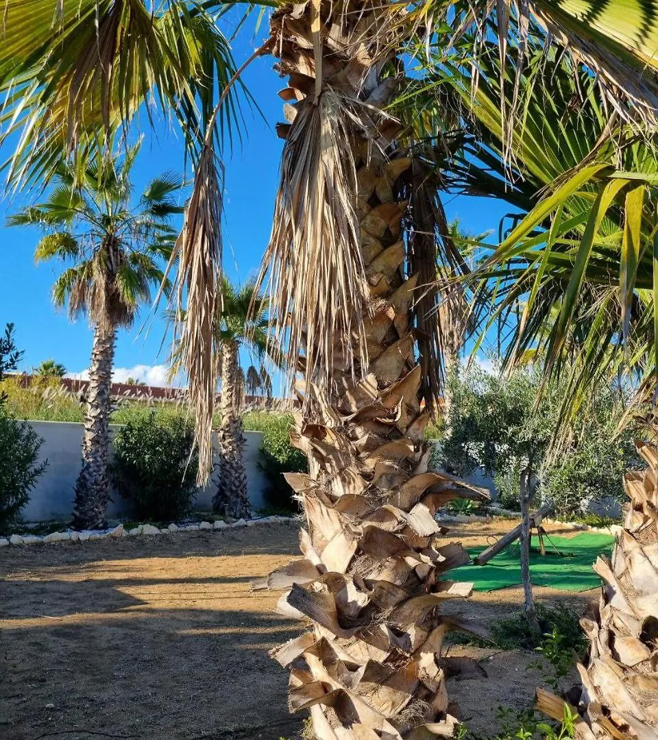 Villa Maniscalco Marinella di Selinunte 0*,  Itálie